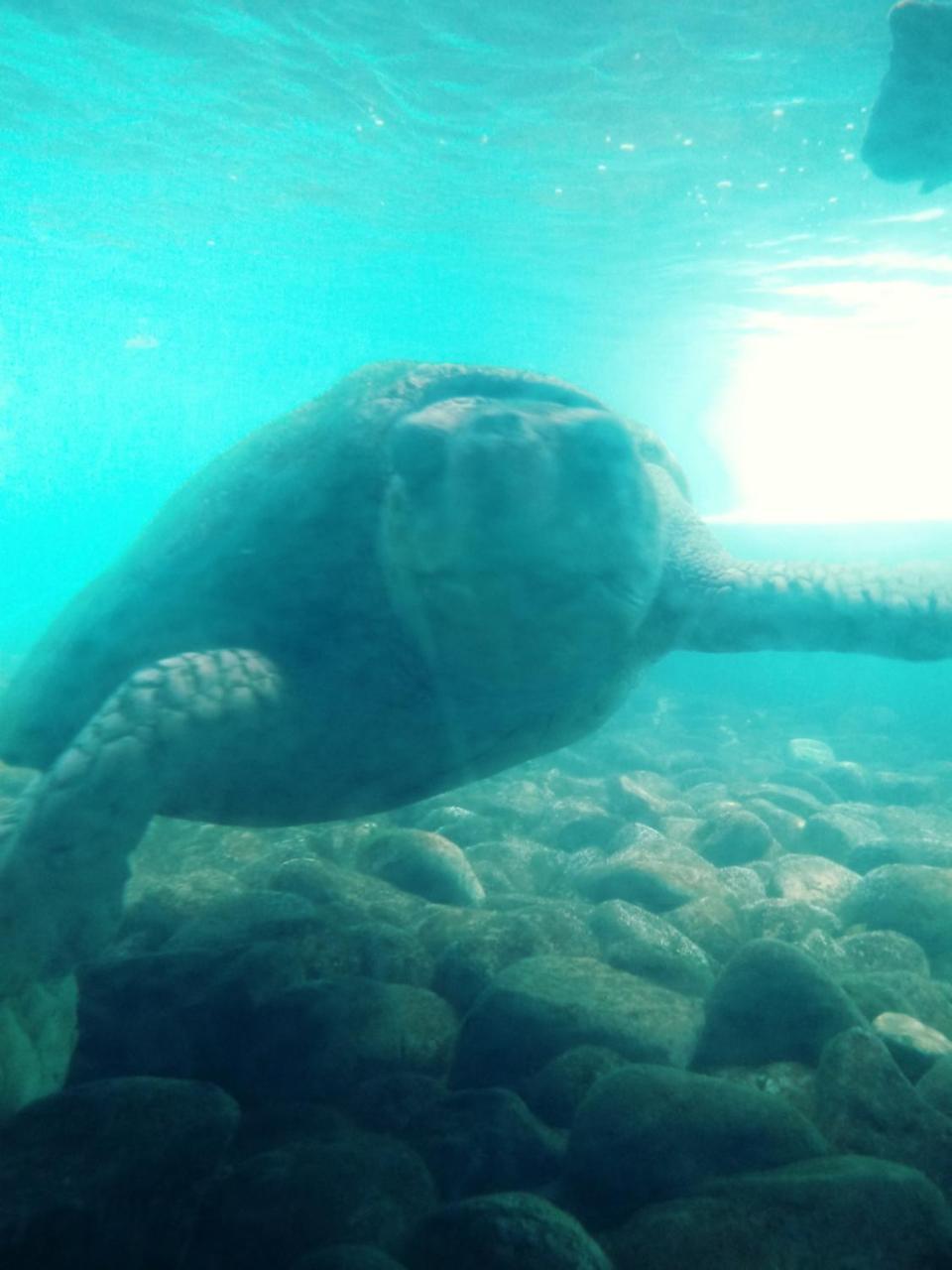 Lindas Suites A Uma Quadra Da Praia E Centro Ubatuba Exteriör bild